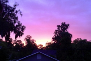 One of the many sunsets from the view of my porch.